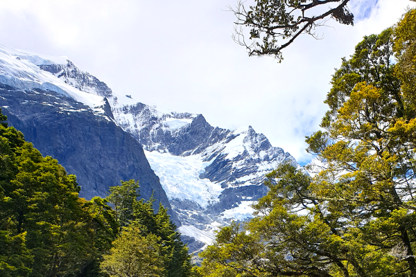 Rob Roy Glacier Experience